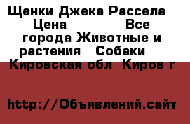 Щенки Джека Рассела › Цена ­ 10 000 - Все города Животные и растения » Собаки   . Кировская обл.,Киров г.